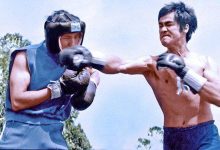 Does Jeet Kune Do work in a real fight?