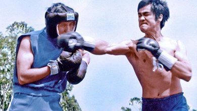 Does Jeet Kune Do work in a real fight?