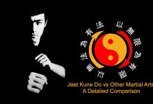 Jeet Kune Do vs Other Martial Arts: A Detailed Comparison